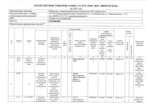 Plan-zakupok-2025g-pdf-300x212 План закупок 2025г